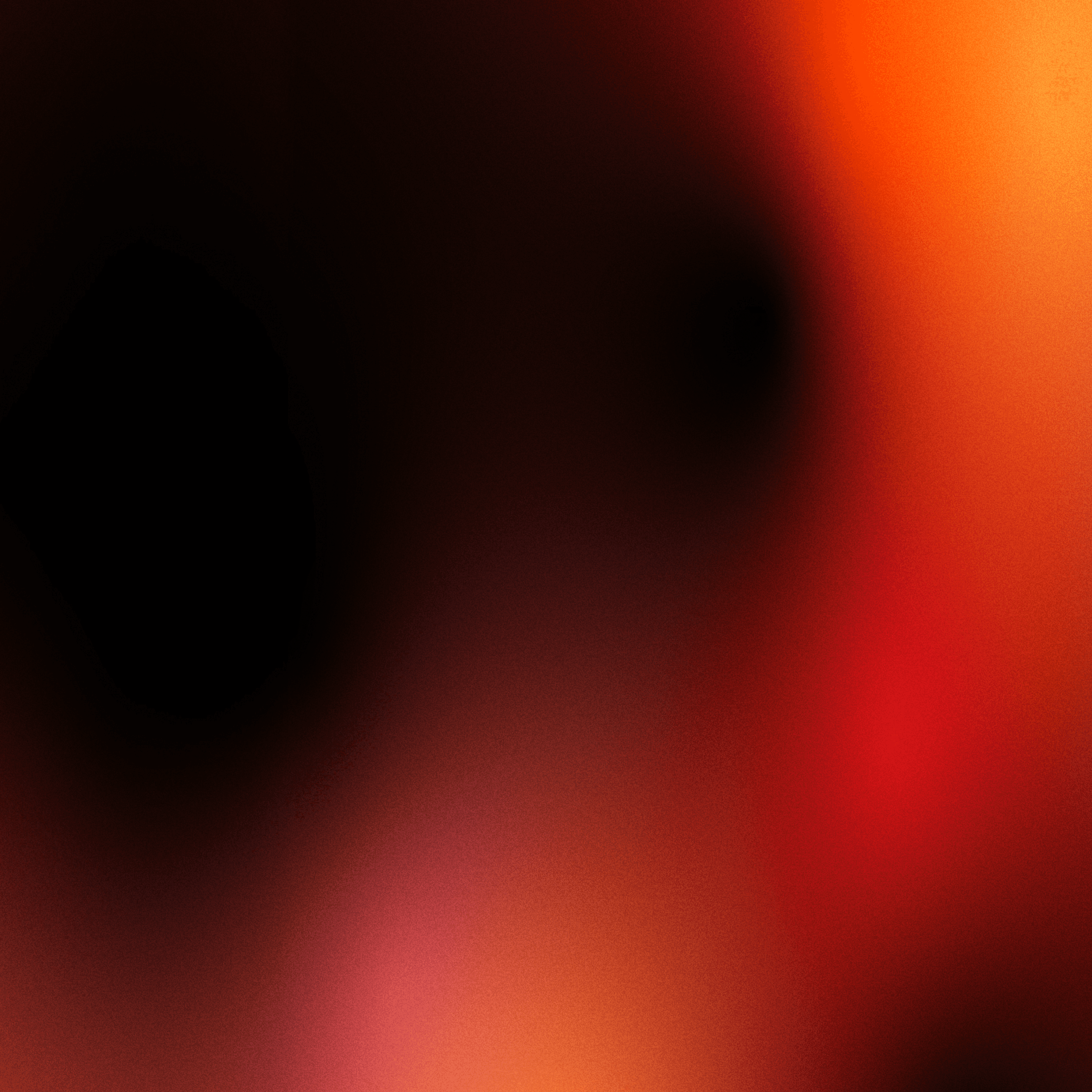 hero-banner.jpg